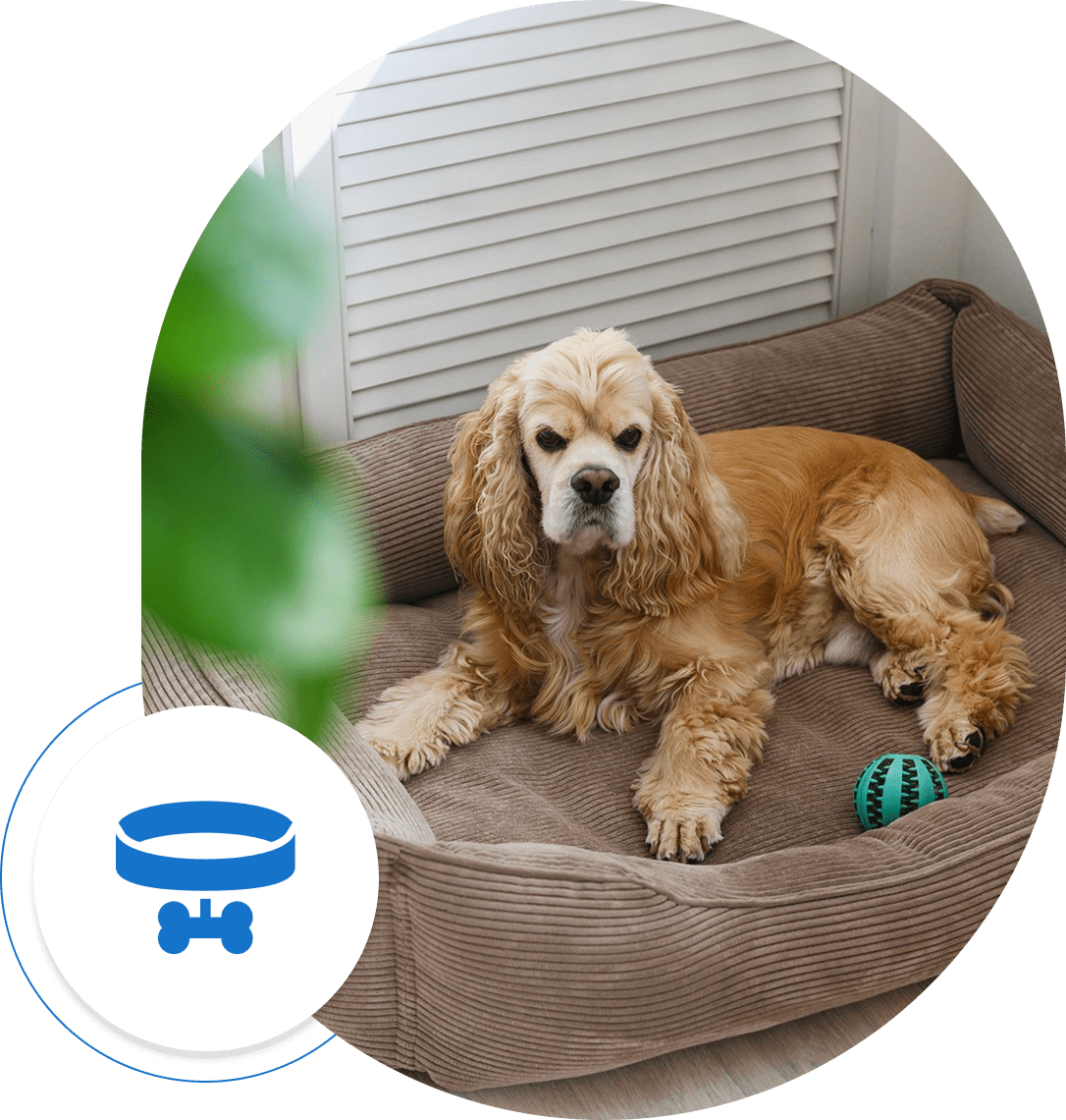 Dog resting on a bed with toy.