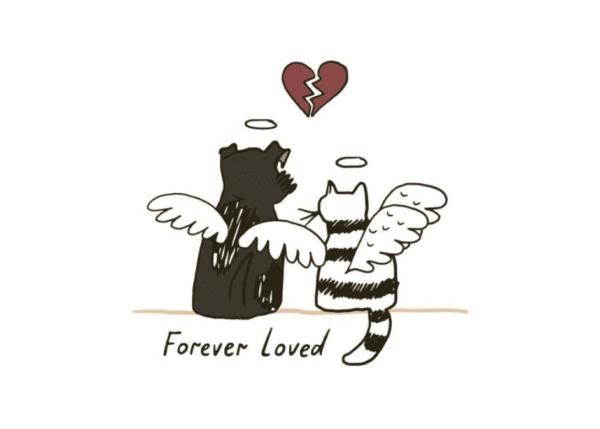 Cherished Legacy